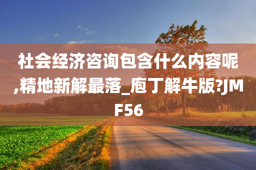 社会经济咨询包含什么内容呢,精地新解最落_庖丁解牛版?JMF56