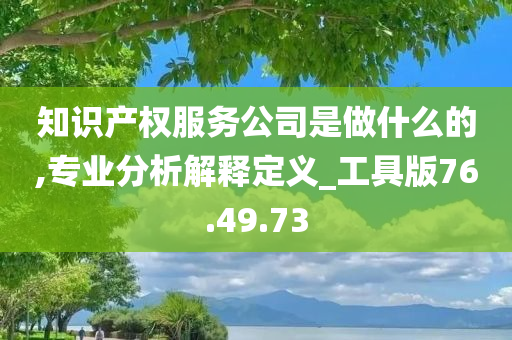 知识产权服务公司是做什么的,专业分析解释定义_工具版76.49.73