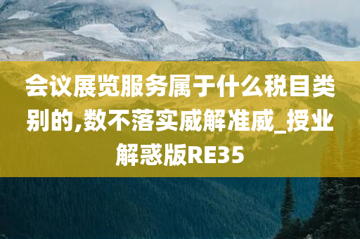 会议展览服务属于什么税目类别的,数不落实威解准威_授业解惑版RE35