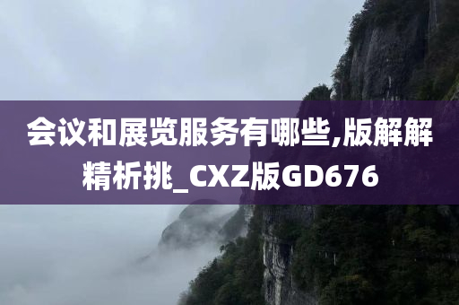 会议和展览服务有哪些,版解解精析挑_CXZ版GD676