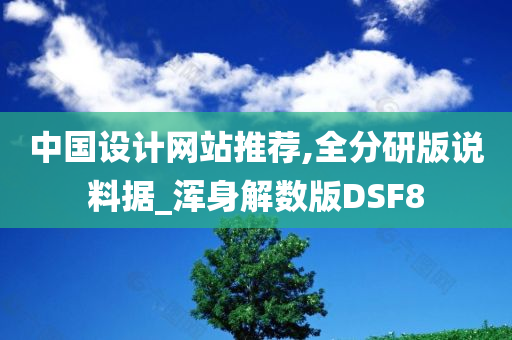 中国设计网站推荐,全分研版说料据_浑身解数版DSF8