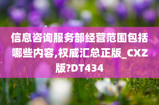 信息咨询服务部经营范围包括哪些内容,权威汇总正版_CXZ版?DT434