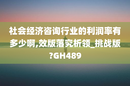 社会经济咨询行业的利润率有多少啊,效版落究析领_挑战版?GH489