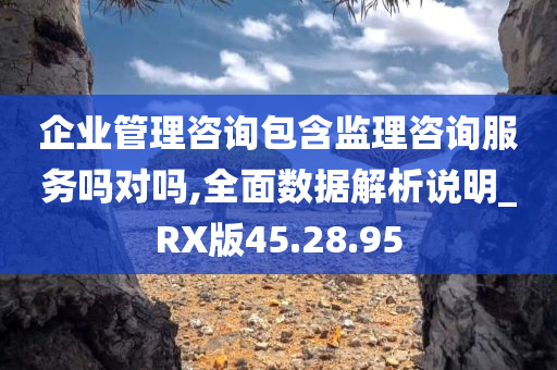 企业管理咨询包含监理咨询服务吗对吗,全面数据解析说明_RX版45.28.95