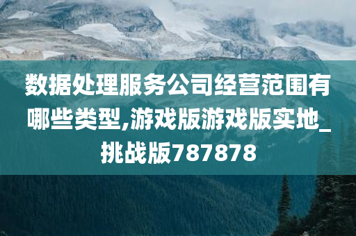 数据处理服务公司经营范围有哪些类型,游戏版游戏版实地_挑战版787878