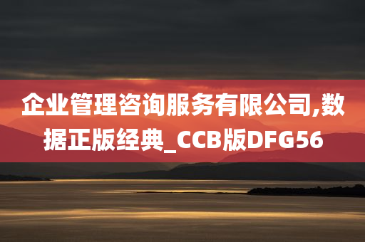 企业管理咨询服务有限公司,数据正版经典_CCB版DFG56