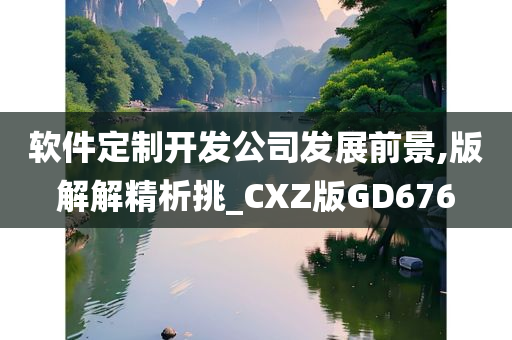 软件定制开发公司发展前景,版解解精析挑_CXZ版GD676