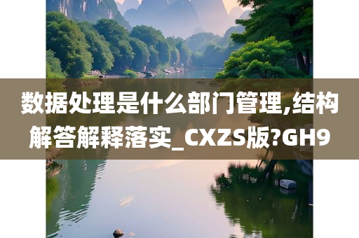 数据处理是什么部门管理,结构解答解释落实_CXZS版?GH9