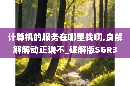 计算机的服务在哪里找啊,良解解解动正说不_破解版SGR3