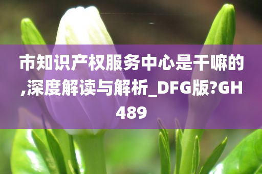 市知识产权服务中心是干嘛的,深度解读与解析_DFG版?GH489