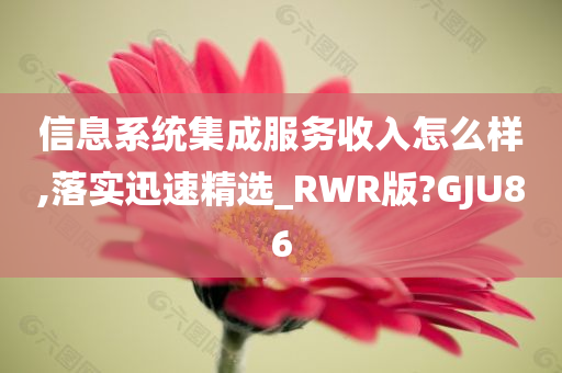 信息系统集成服务收入怎么样,落实迅速精选_RWR版?GJU86