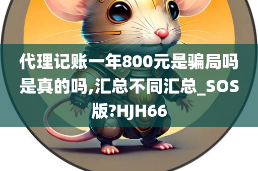 代理记账一年800元是骗局吗是真的吗,汇总不同汇总_SOS版?HJH66