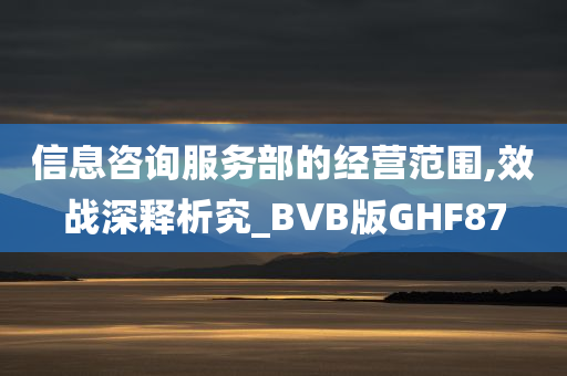 信息咨询服务部的经营范围,效战深释析究_BVB版GHF87