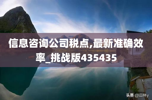 信息咨询公司税点,最新准确效率_挑战版435435