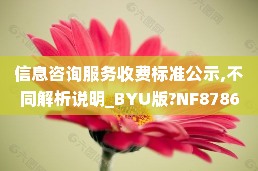 信息咨询服务收费标准公示,不同解析说明_BYU版?NF8786