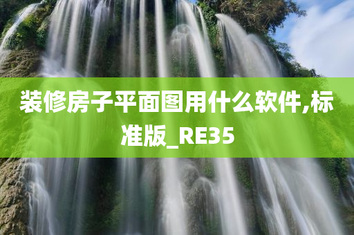 装修房子平面图用什么软件,标准版_RE35