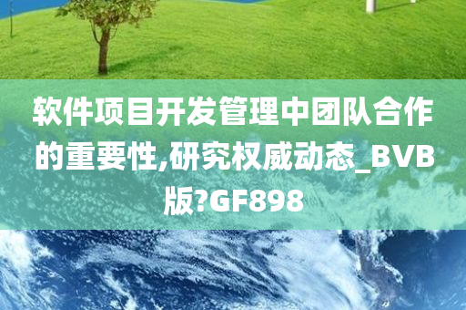 软件项目开发管理中团队合作的重要性,研究权威动态_BVB版?GF898