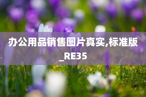 办公用品销售图片真实,标准版_RE35