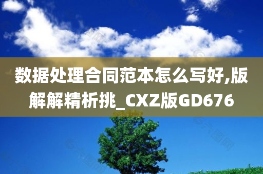 数据处理合同范本怎么写好,版解解精析挑_CXZ版GD676