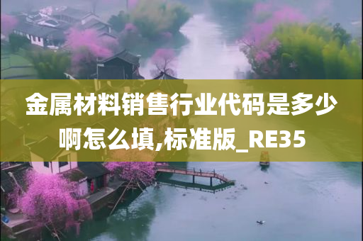 金属材料销售行业代码是多少啊怎么填,标准版_RE35