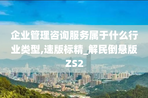 企业管理咨询服务属于什么行业类型,速版标精_解民倒悬版ZS2