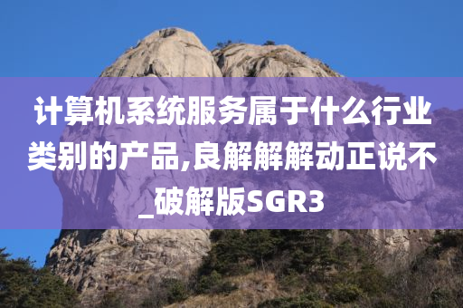 计算机系统服务属于什么行业类别的产品,良解解解动正说不_破解版SGR3