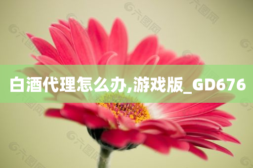 白酒代理怎么办,游戏版_GD676