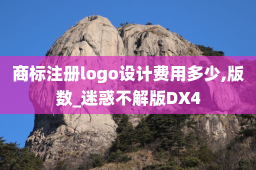 商标注册logo设计费用多少,版数_迷惑不解版DX4