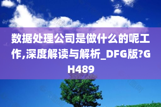 数据处理公司是做什么的呢工作,深度解读与解析_DFG版?GH489