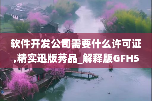 软件开发公司需要什么许可证,精实迅版莠品_解释版GFH5