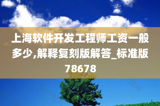 上海软件开发工程师工资一般多少,解释复刻版解答_标准版78678