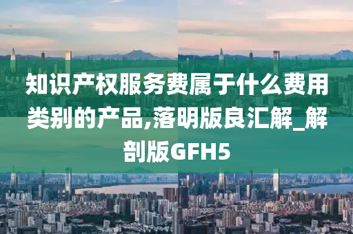 知识产权服务费属于什么费用类别的产品,落明版良汇解_解剖版GFH5