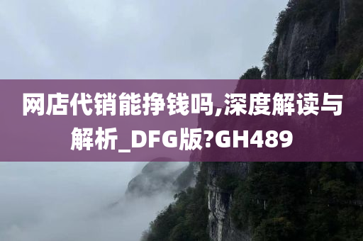 网店代销能挣钱吗,深度解读与解析_DFG版?GH489