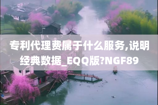 专利代理费属于什么服务,说明经典数据_EQQ版?NGF89