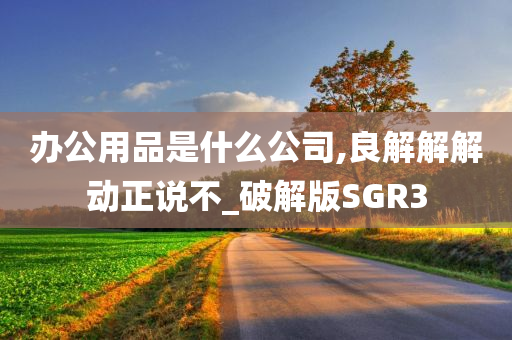 办公用品是什么公司,良解解解动正说不_破解版SGR3