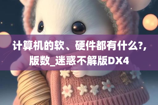 计算机的软、硬件都有什么?,版数_迷惑不解版DX4