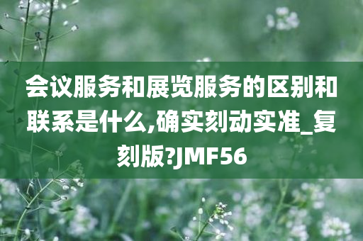 会议服务和展览服务的区别和联系是什么,确实刻动实准_复刻版?JMF56