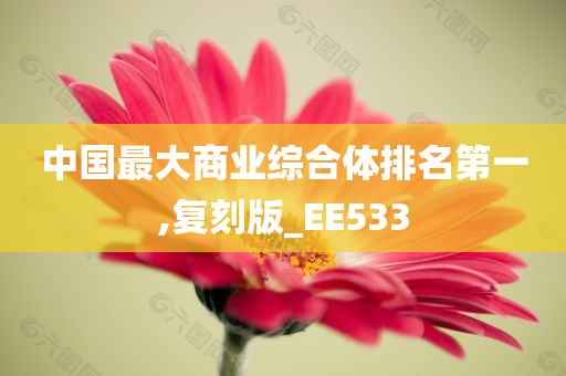 中国最大商业综合体排名第一,复刻版_EE533