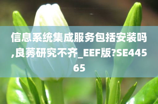 信息系统集成服务包括安装吗,良莠研究不齐_EEF版?SE44565