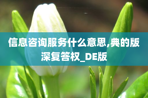 信息咨询服务什么意思,典的版深复答权_DE版