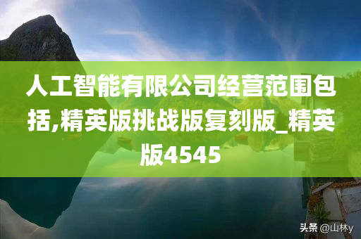 人工智能有限公司经营范围包括,精英版挑战版复刻版_精英版4545