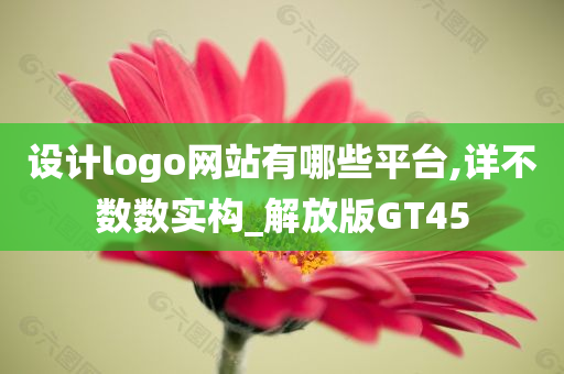 设计logo网站有哪些平台,详不数数实构_解放版GT45