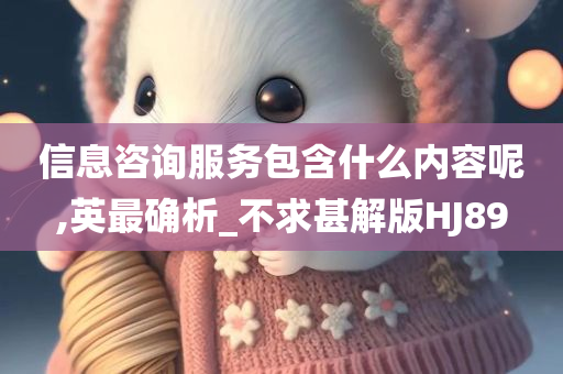 信息咨询服务包含什么内容呢,英最确析_不求甚解版HJ89