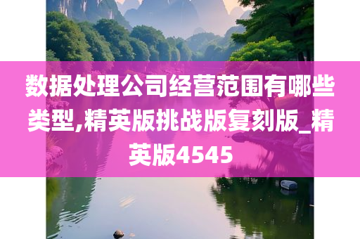 数据处理公司经营范围有哪些类型,精英版挑战版复刻版_精英版4545