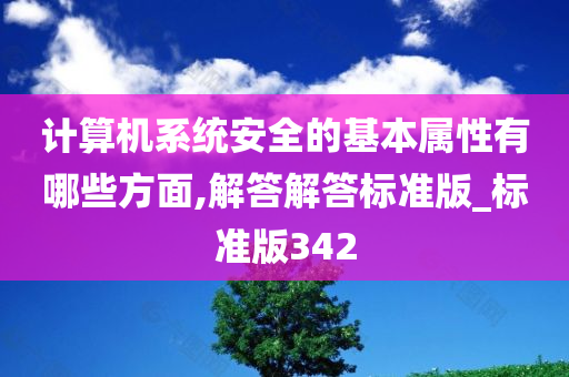 计算机系统安全的基本属性有哪些方面,解答解答标准版_标准版342