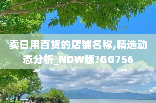 卖日用百货的店铺名称,精选动态分析_NDW版?GG756