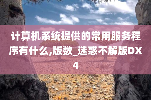 计算机系统提供的常用服务程序有什么,版数_迷惑不解版DX4