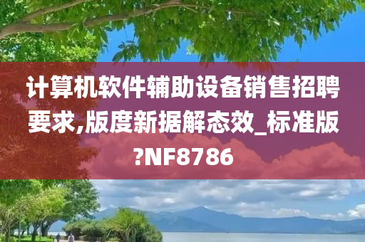 计算机软件辅助设备销售招聘要求,版度新据解态效_标准版?NF8786