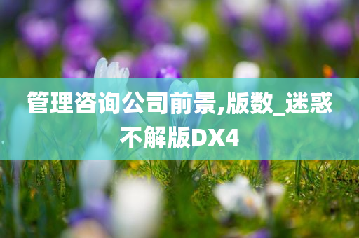 管理咨询公司前景,版数_迷惑不解版DX4