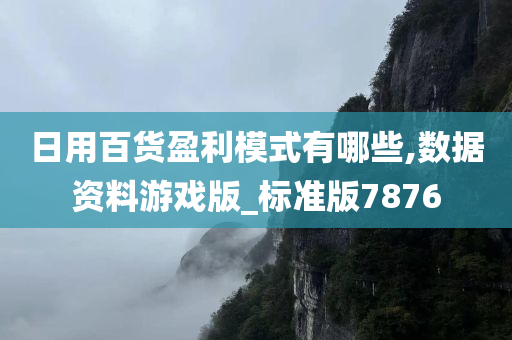 日用百货盈利模式有哪些,数据资料游戏版_标准版7876